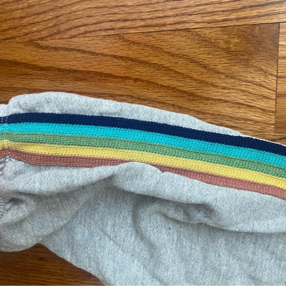 Sundry Gray Joggers with Colorful Stripe - Picture 2 of 3